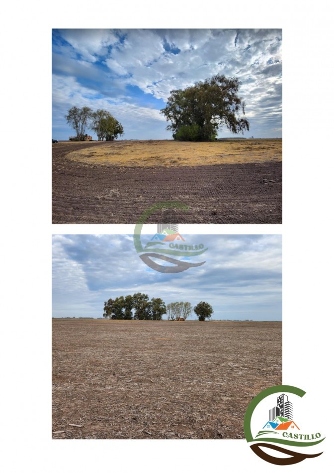 207 ha agricolas - junin