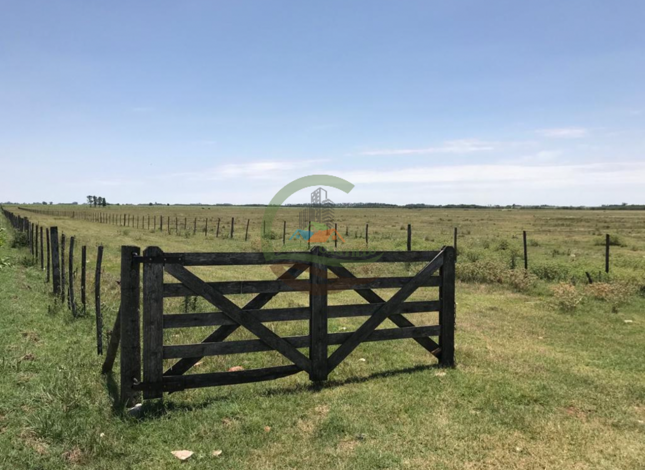 177 ha Mixtas - Pergamino 