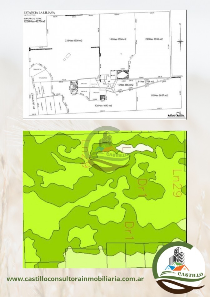1227 ha Agricolas - villegas