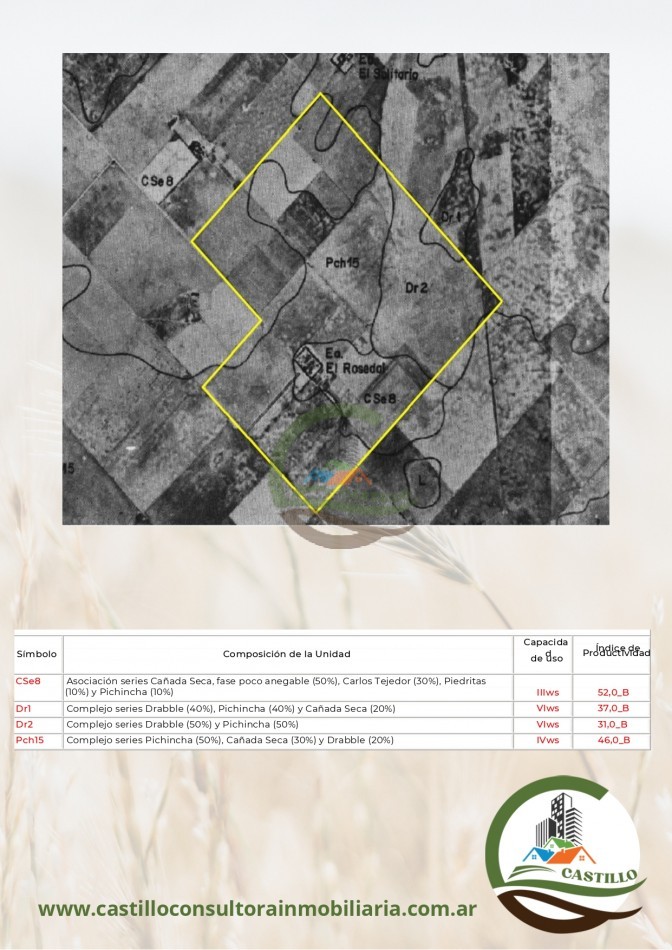 931 ha Mixto - Carlos Tejedor