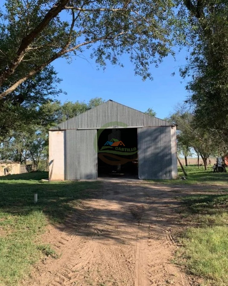 3900 ha Mixtas - La Carlota