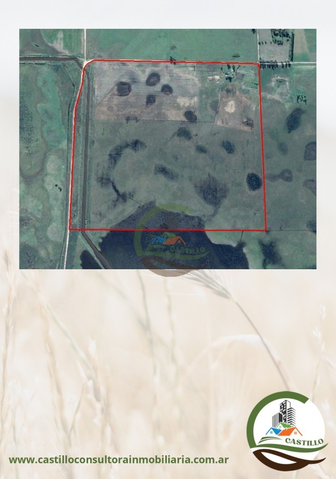 110 ha mixtas - bragado