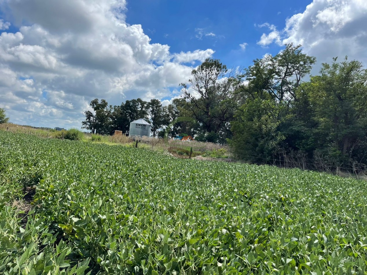 84 ha mixta - Bolivar