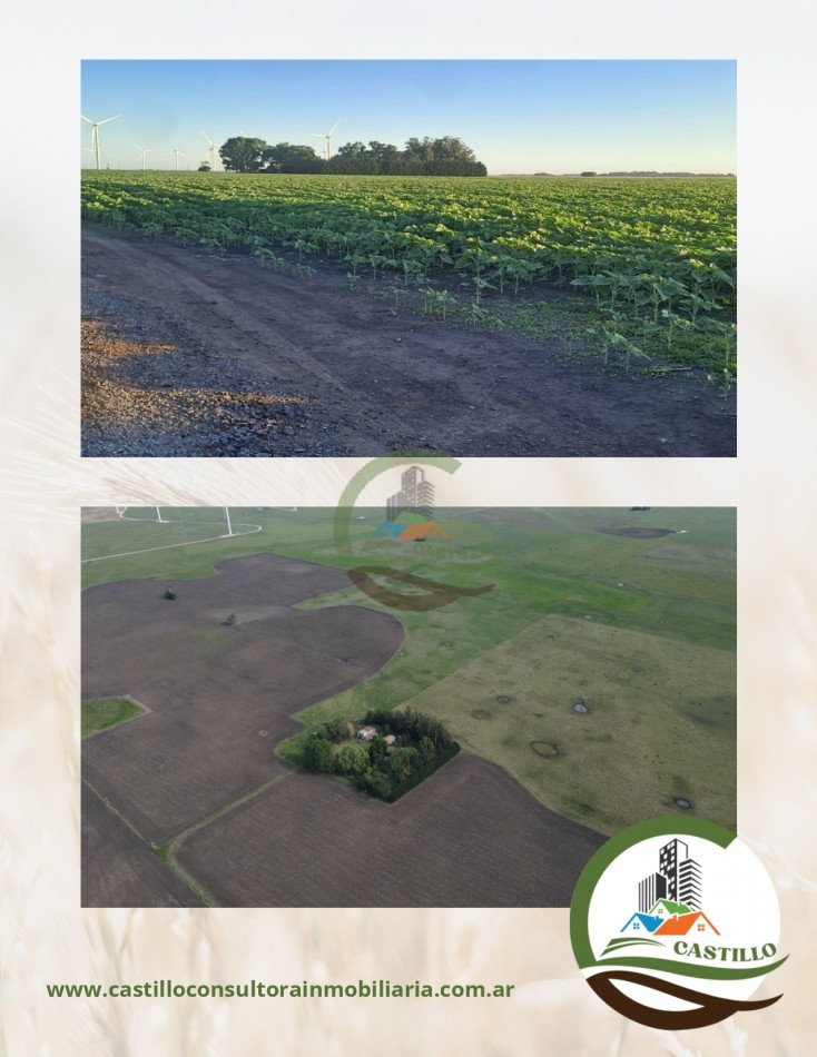 102 ha Mixtas - mechongue