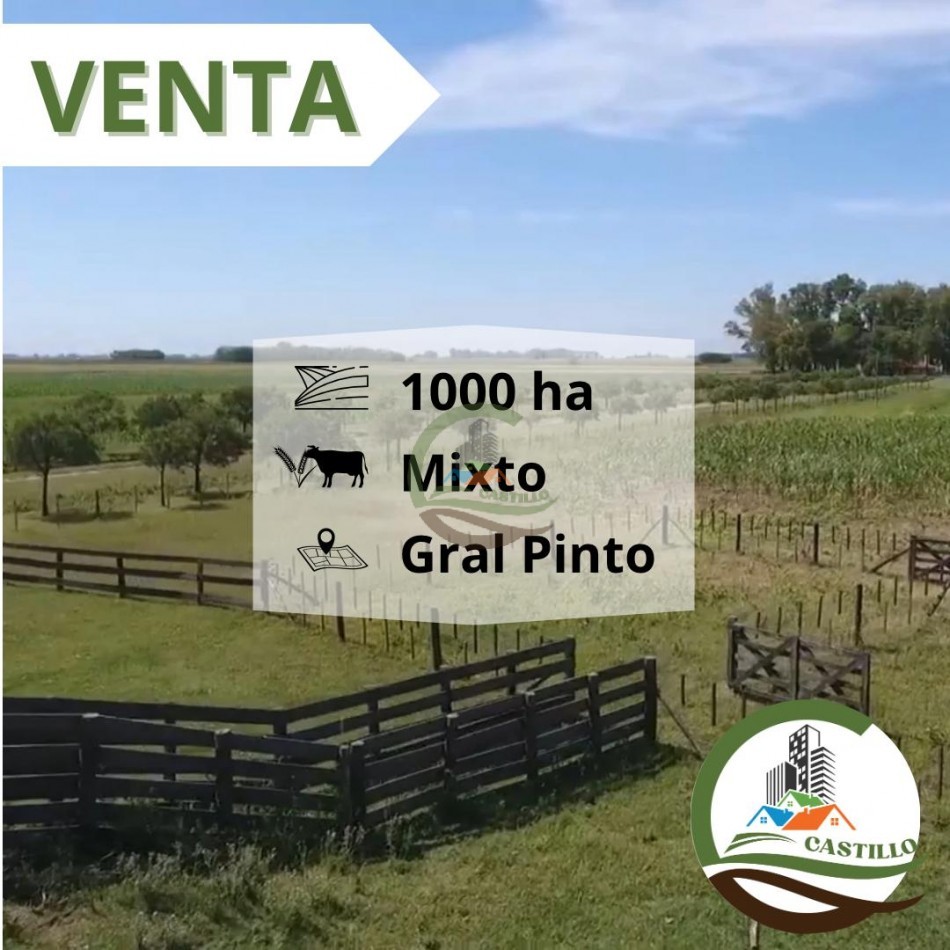 1012 ha Mixto - Gral Pinto