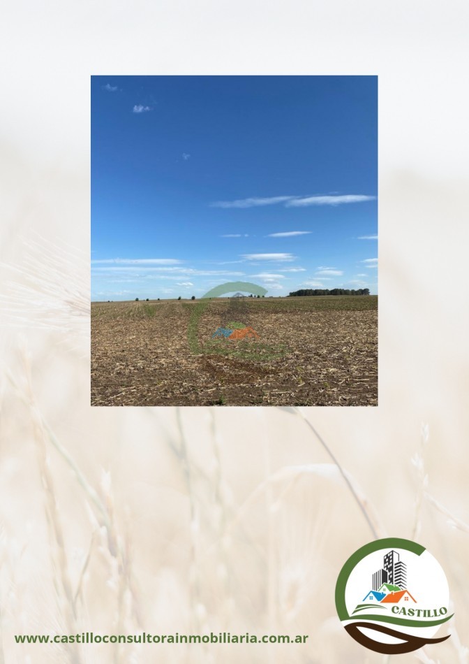 449 ha mixtas - olavarria