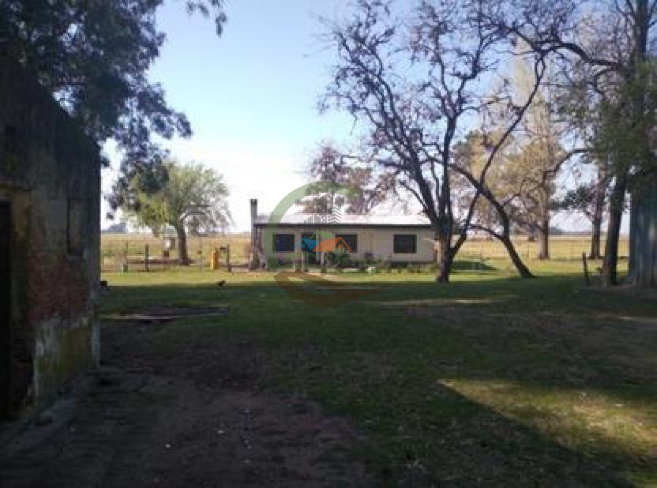 1180 ha  mixtas- Saladillo