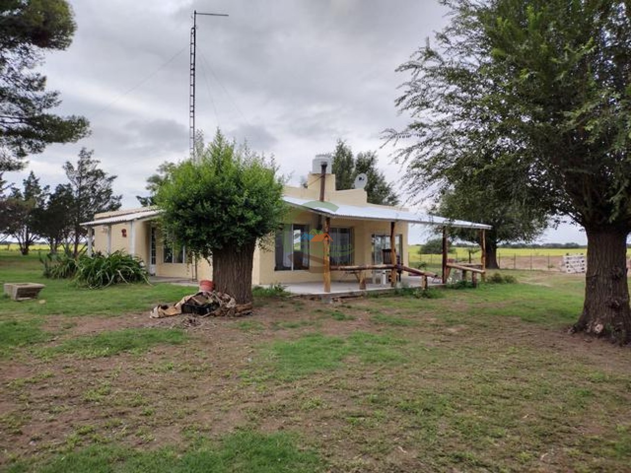 850 Ha Mixto - Puan