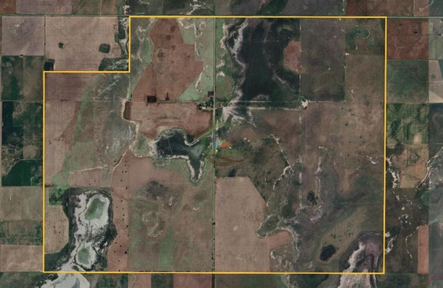 1135 Ha Mixto - Dorila - Mara Co - La Pampa