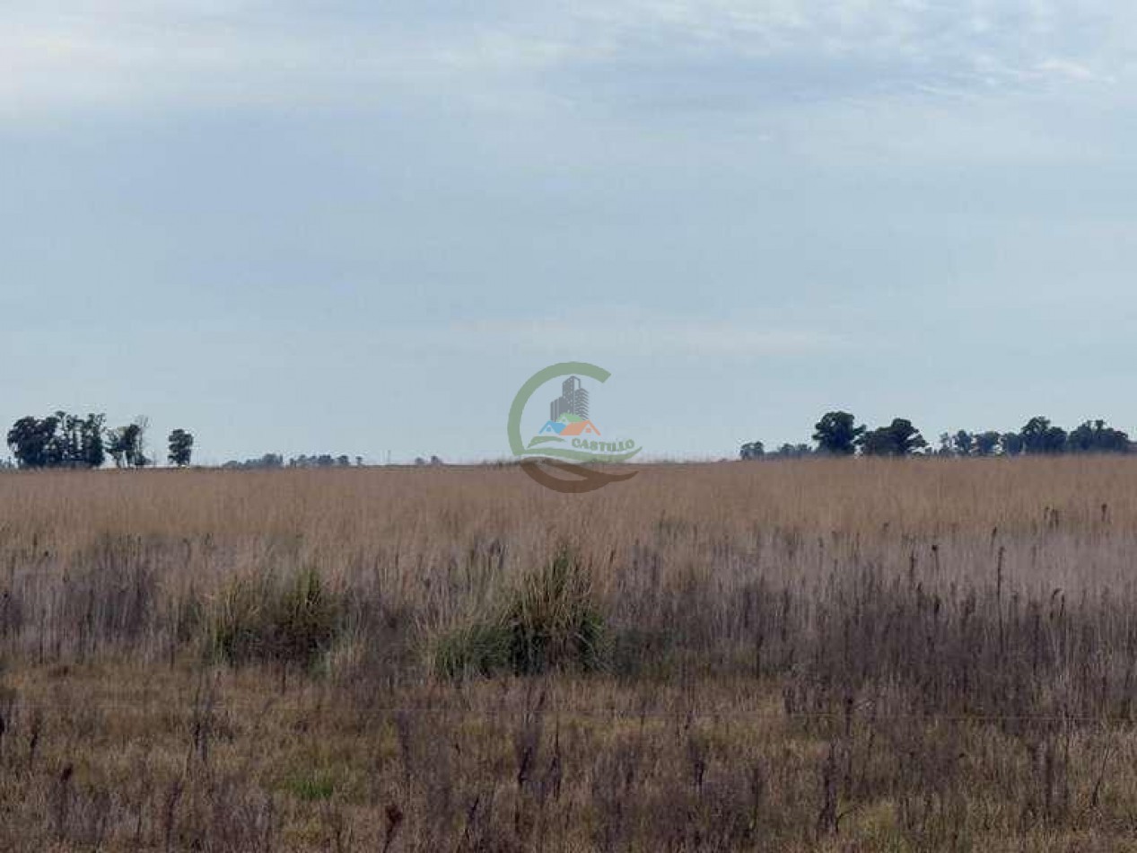 639 Ha Mixto - Urdampilleta - Bolivar
