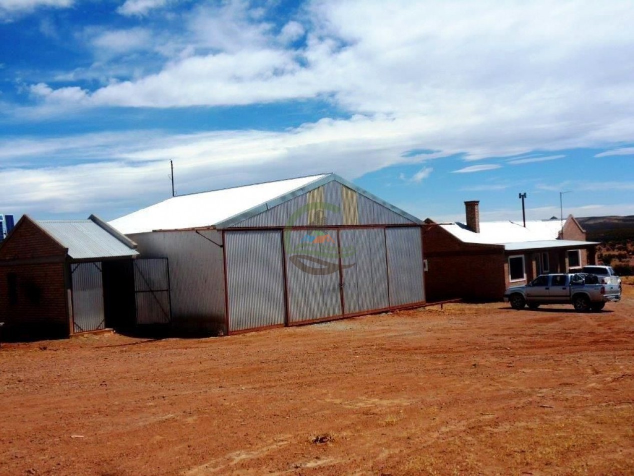 93000 ha Ganaderas - Pasos de los Indios - Chubut