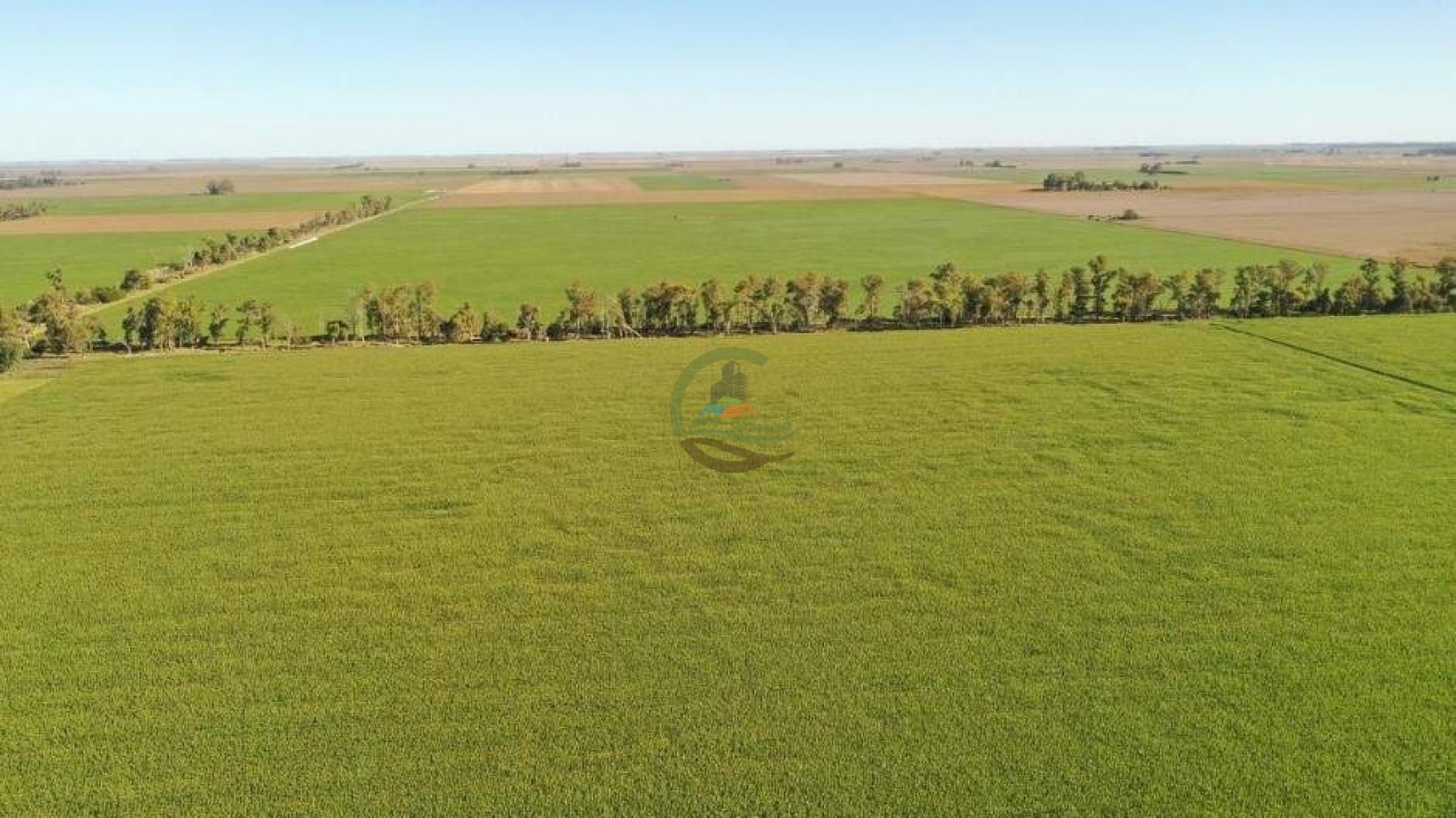 1138 ha agricolas - gral villegas