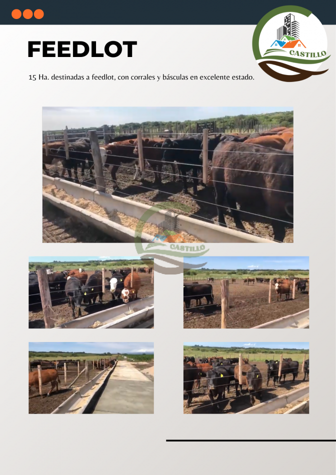 880 Agricolas - Cordoba