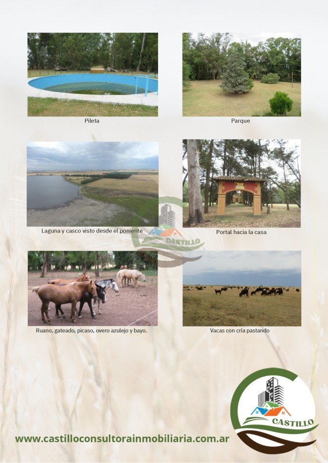 650 ha mixtas - san cayetano