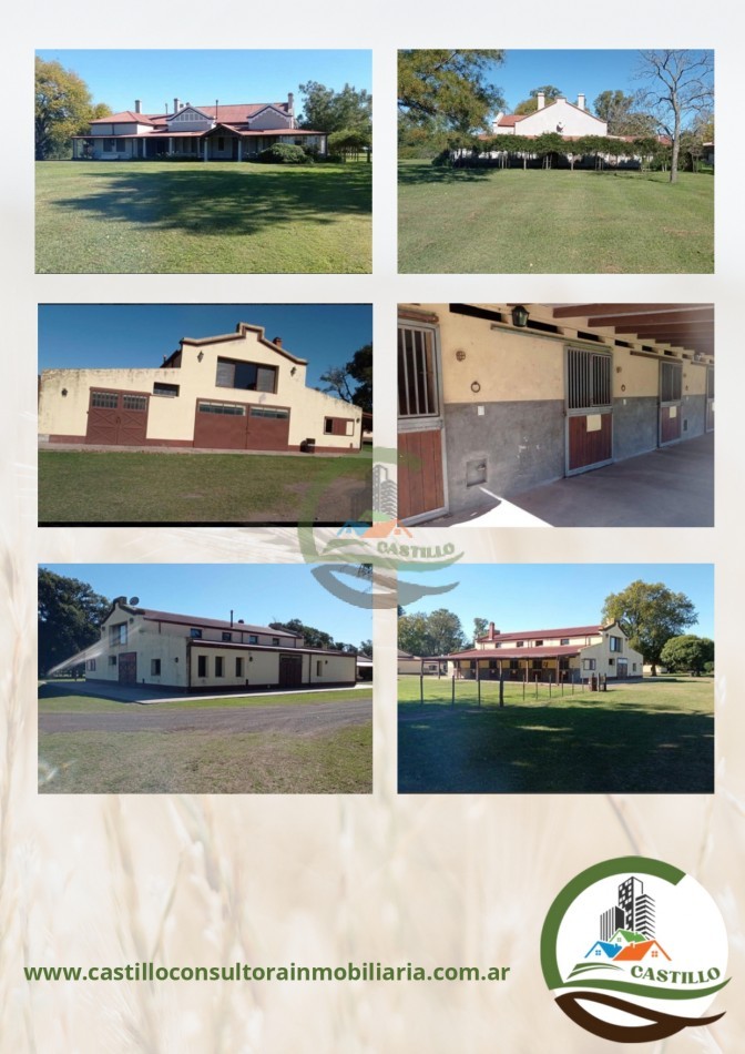 1227 ha Agricolas - villegas