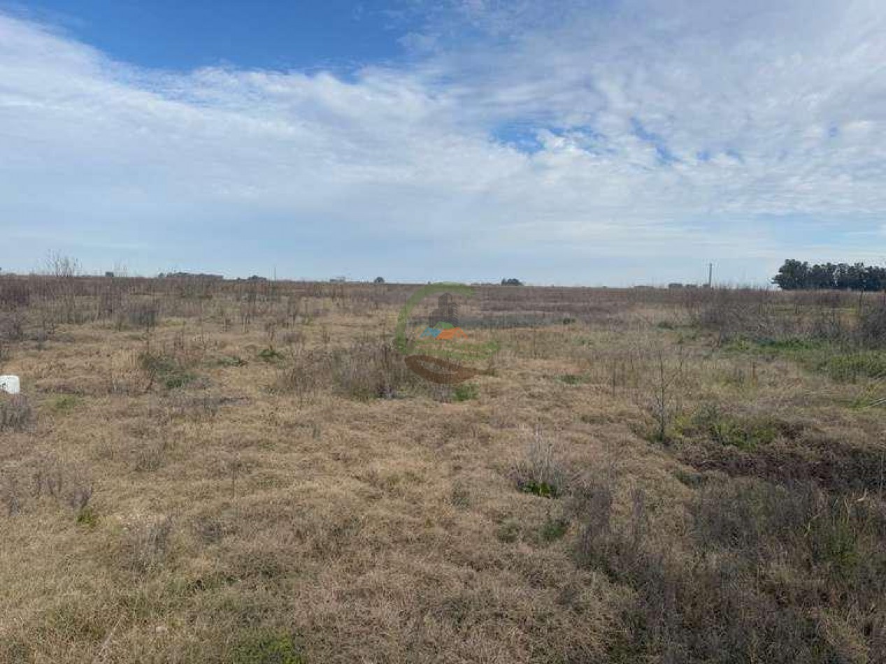 639 Ha Mixto - Urdampilleta - Bolivar