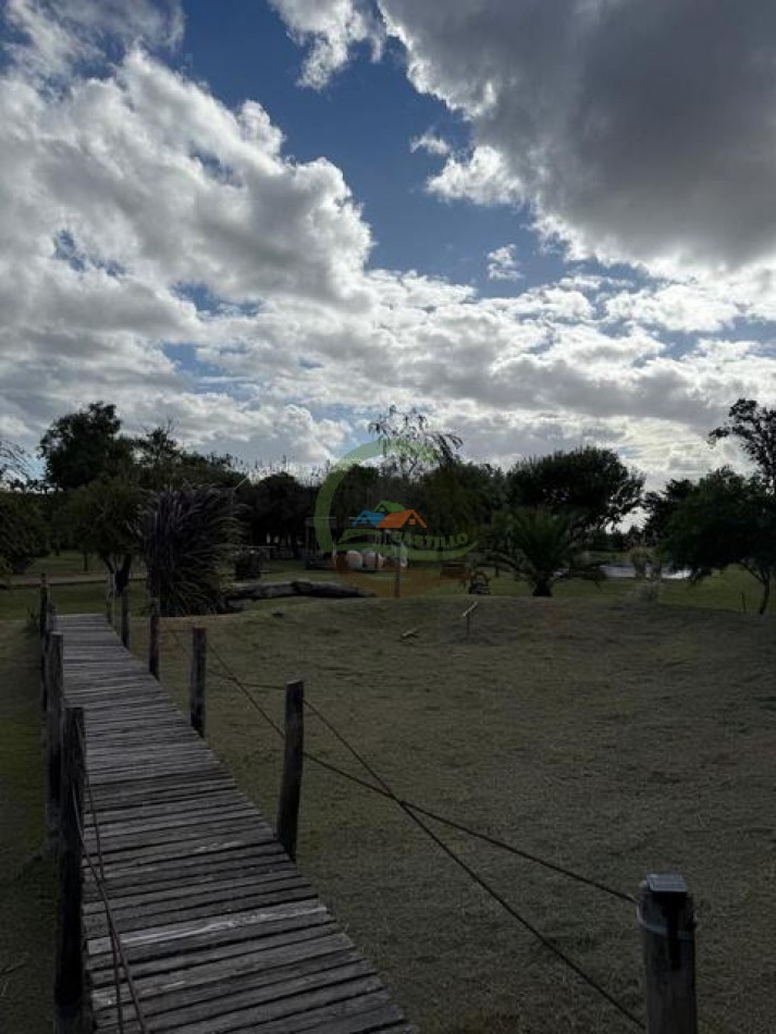 59,5 Ha Agricolas - Polvaredas - Saladillo