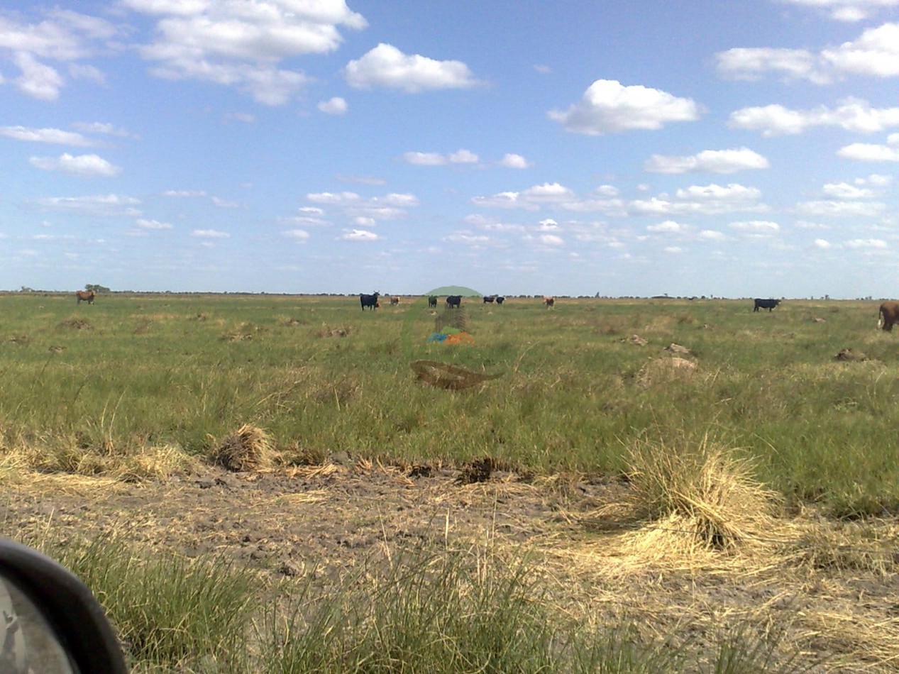 3400 ha ganadera - Santa Fe