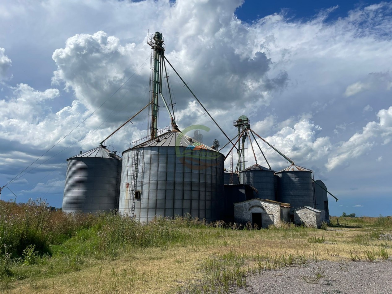 109 ha Feed Lot - Las Flores