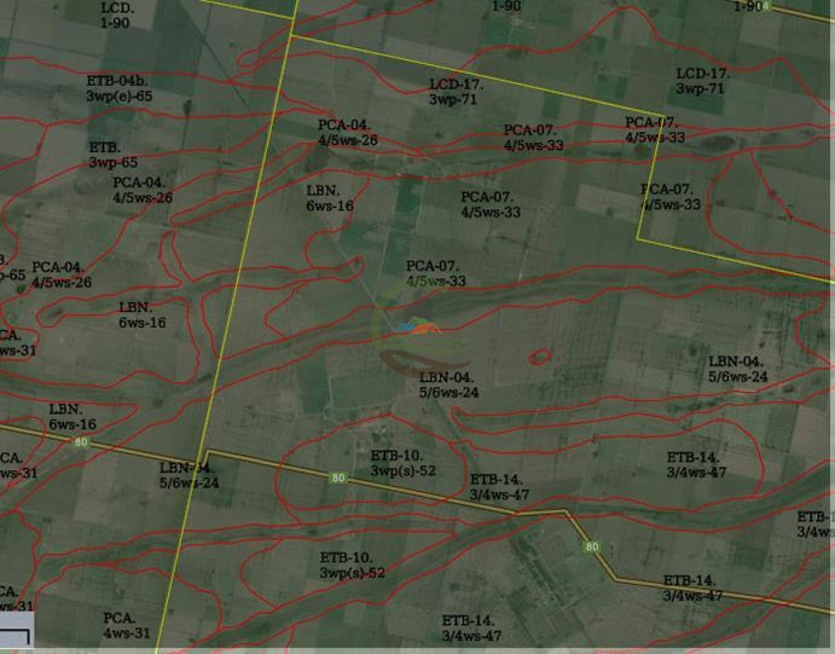 1561 Ha Mixtas - San Martin - Santa Fe