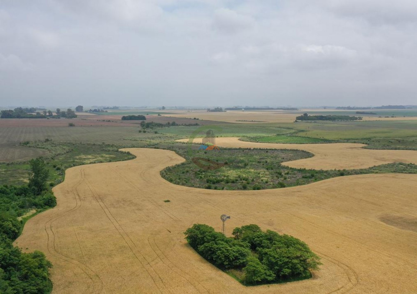 118 Ha Agricolas - Irala - Bragado