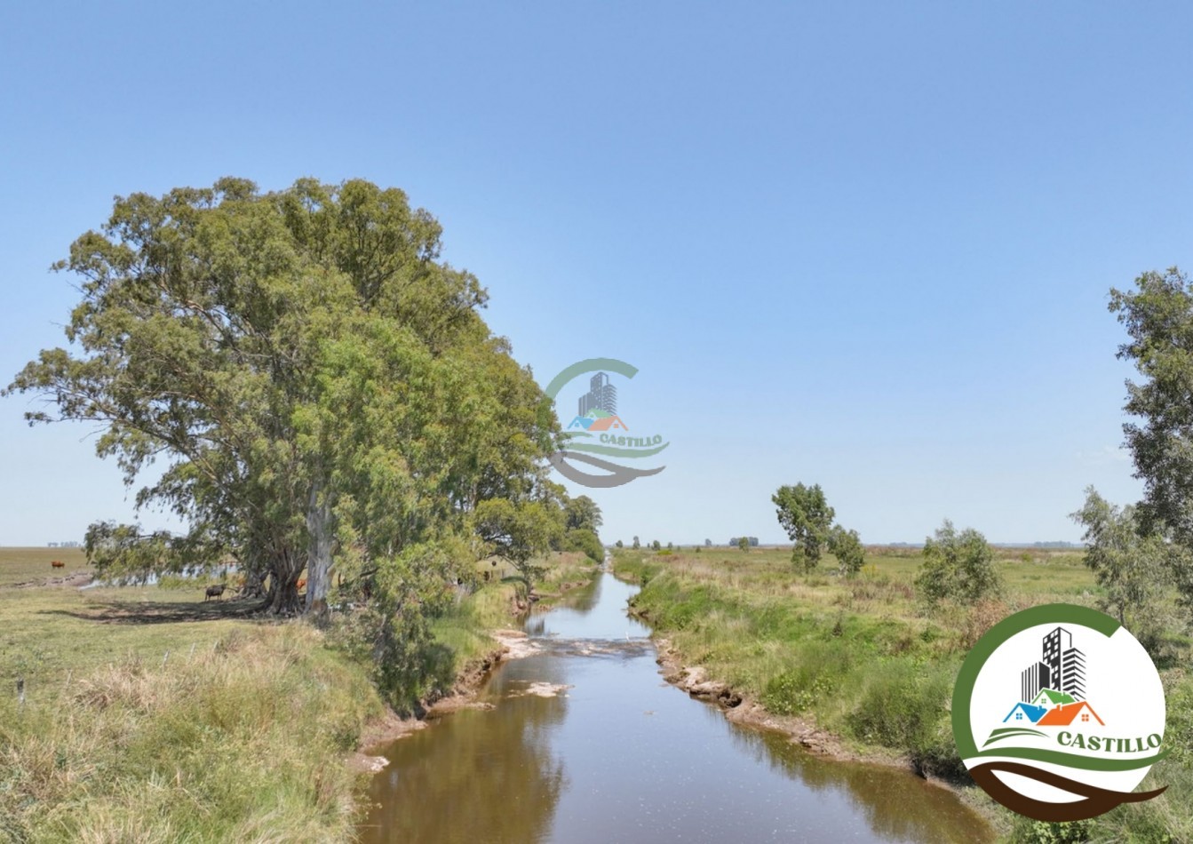 3275 ha ganaderas - general alvear