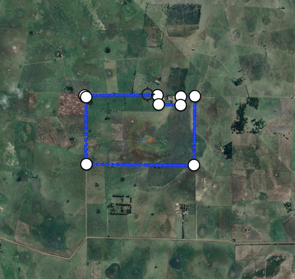 248 Ha Mixtas - Cañuelas