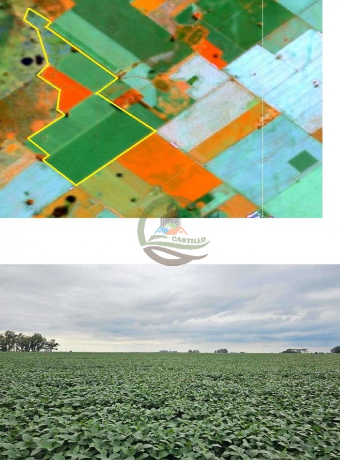 192 Ha Agricolas - General Pinto