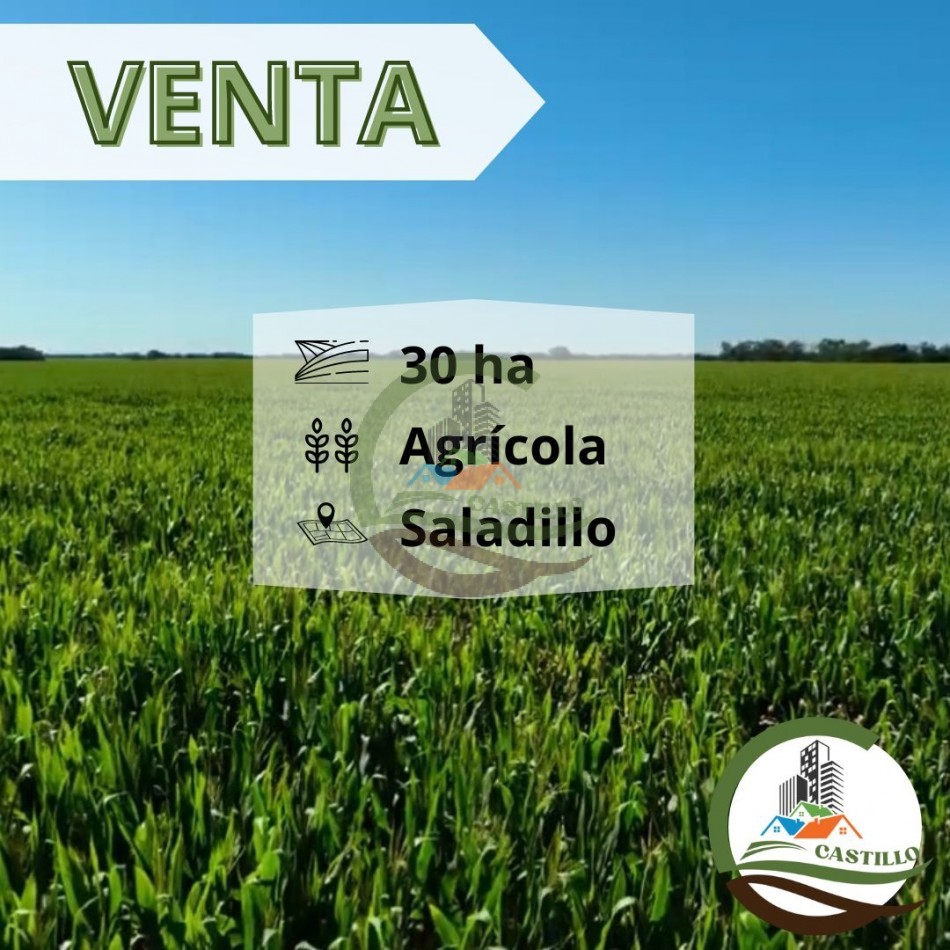 30 ha Agricolas - Saladillo