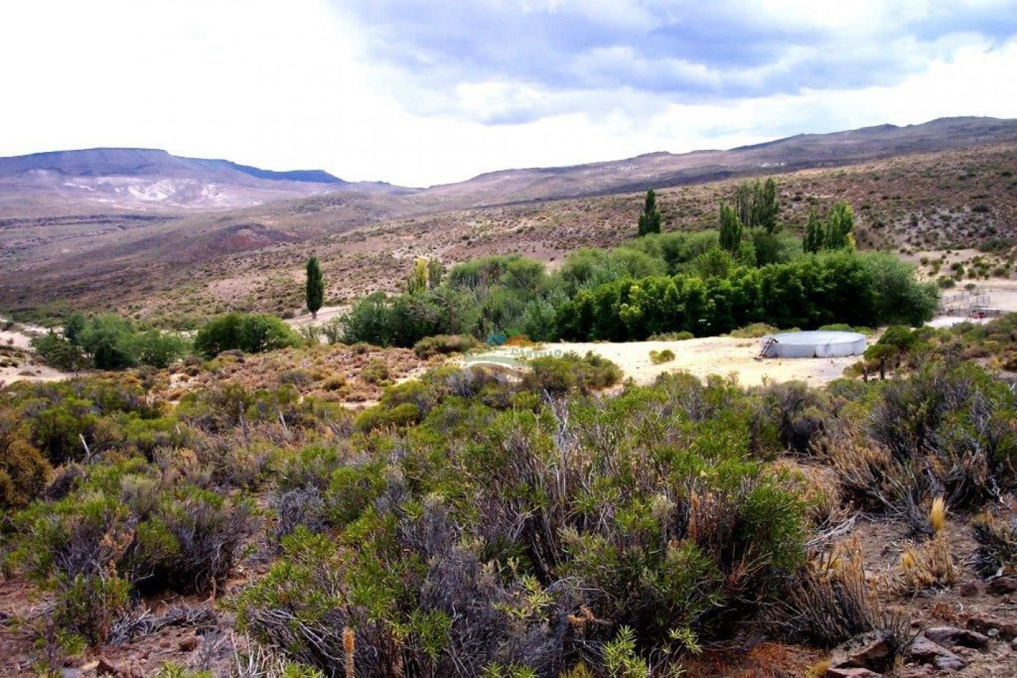 93000 ha Ganaderas - Pasos de los Indios - Chubut