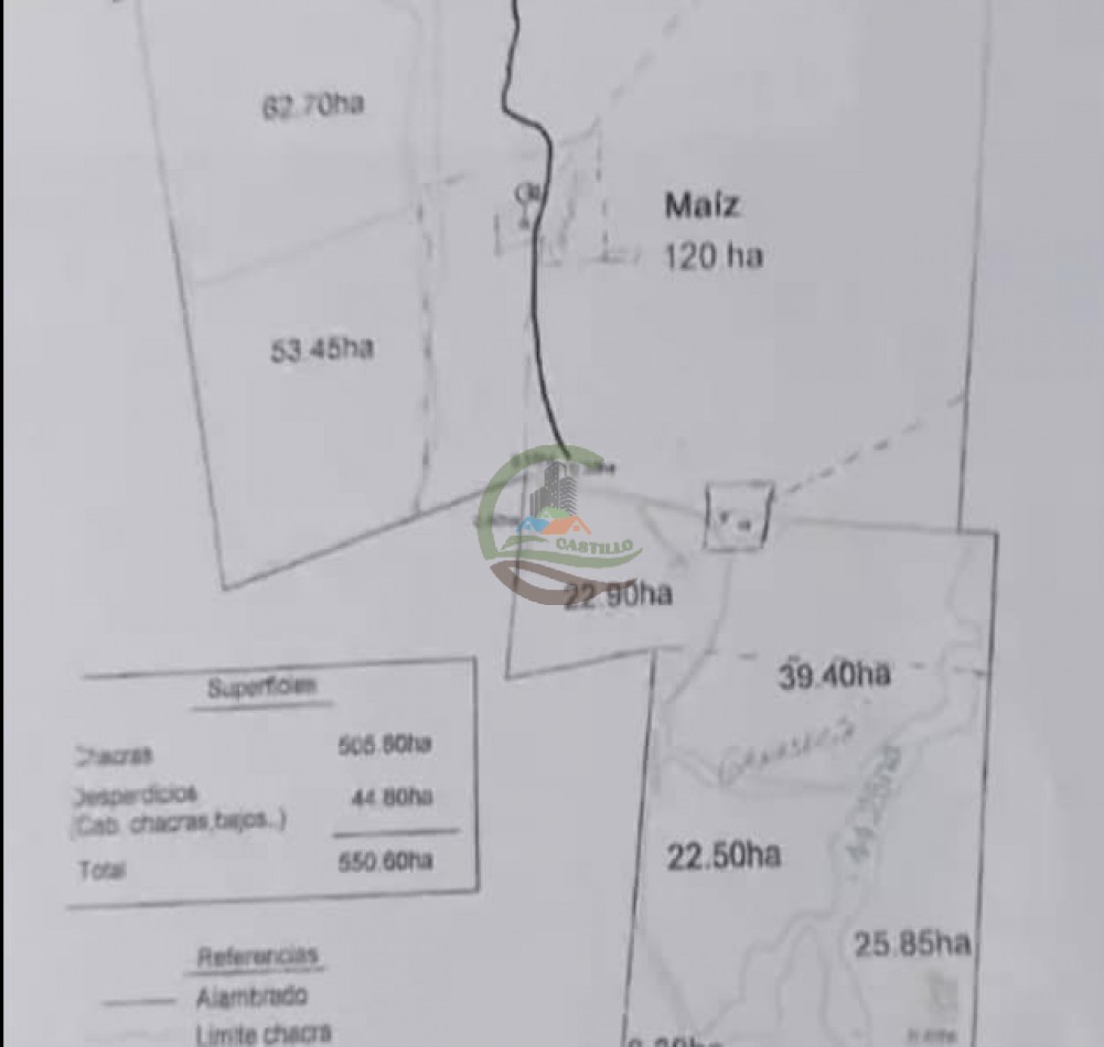 550 Ha Mixto - Concordia - Entre Rios