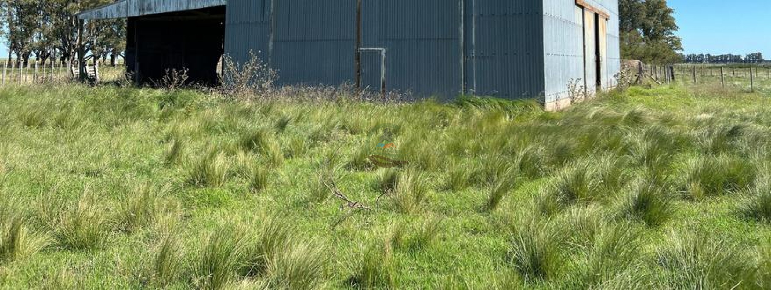 320 Ha Mixtos - Tres Arroyos