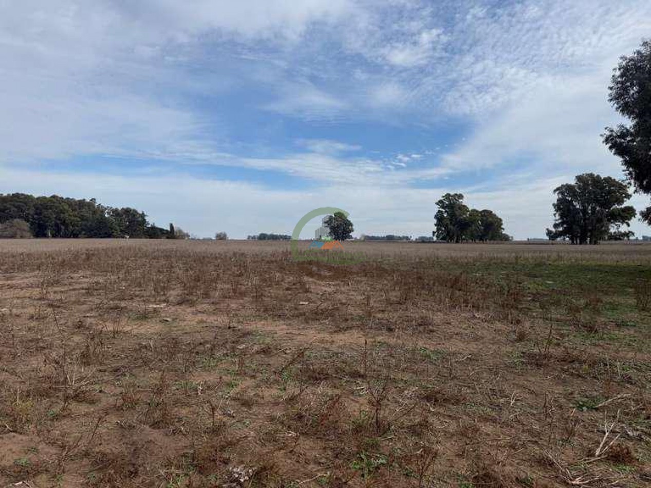 639 Ha Mixto - Urdampilleta - Bolivar
