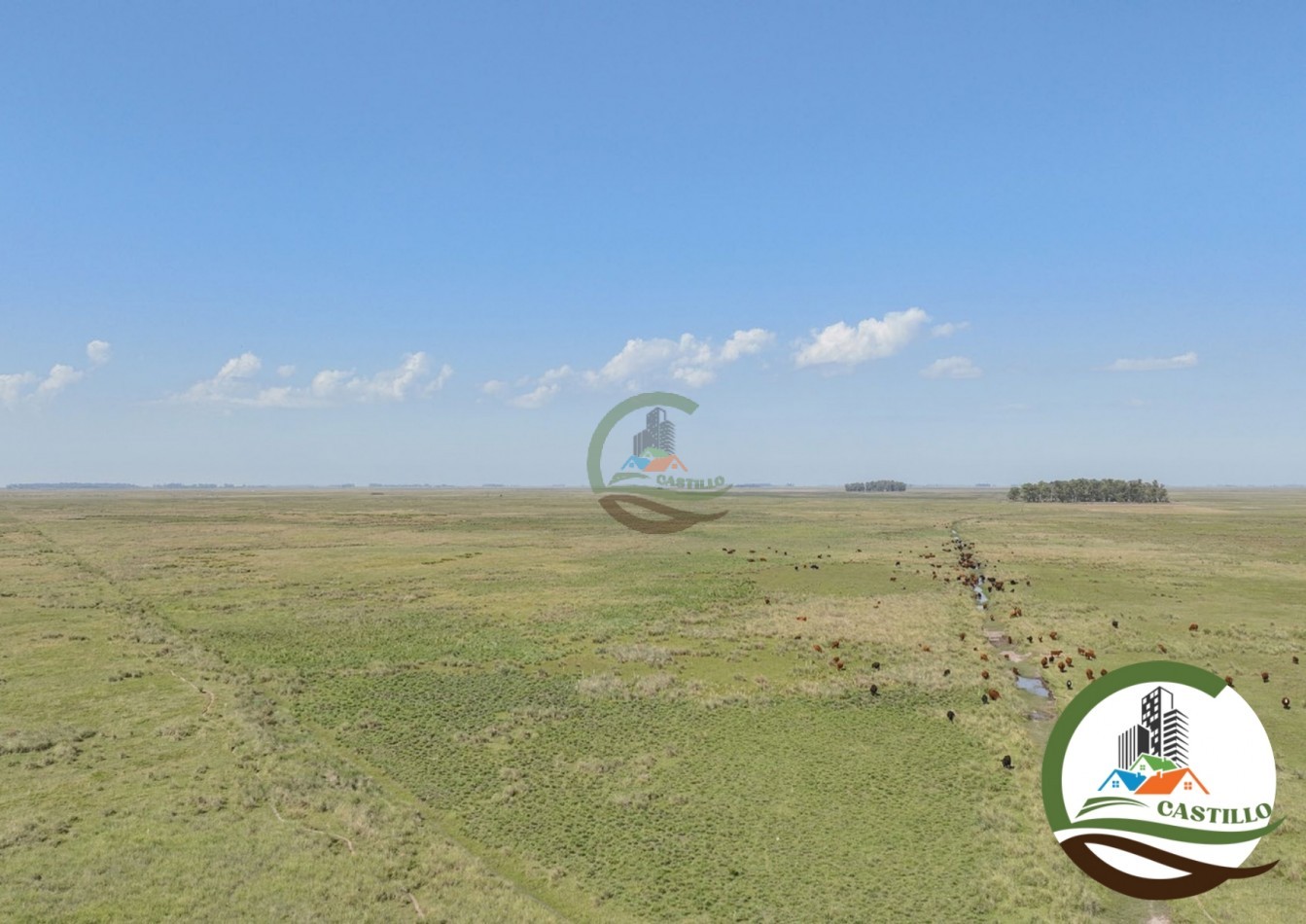 3275 ha ganaderas - general alvear