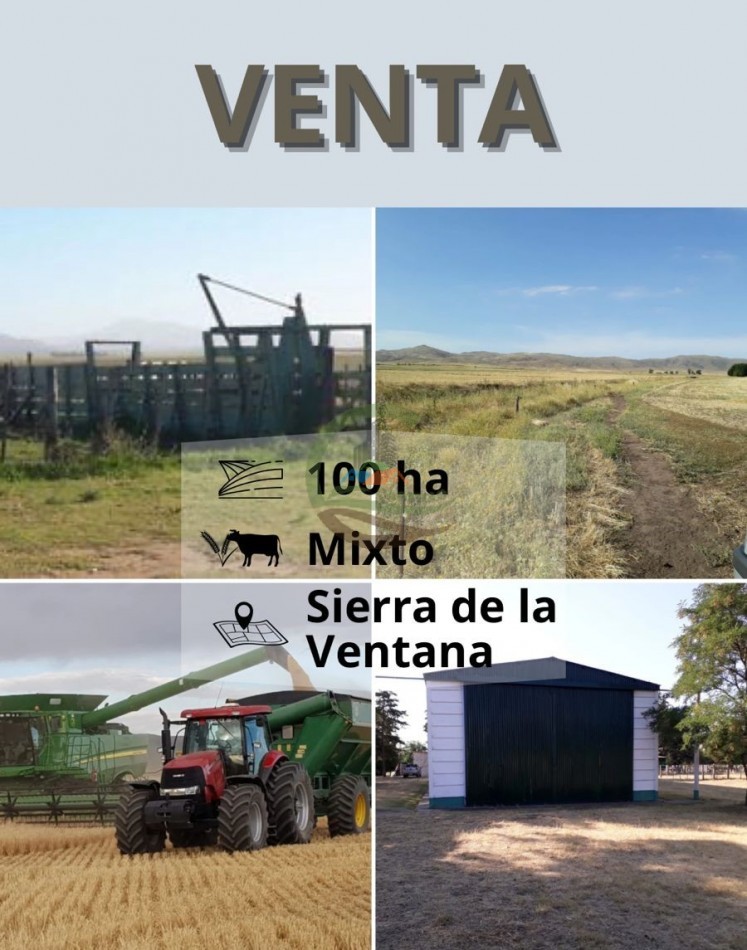 100 ha MIxtas - Sierras de la Ventana