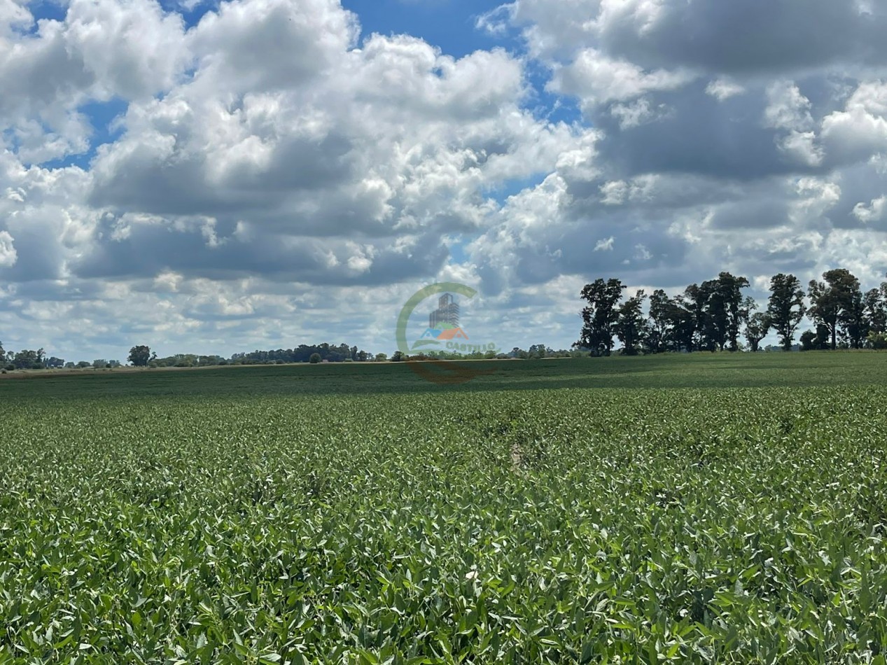 84 ha mixta - Bolivar