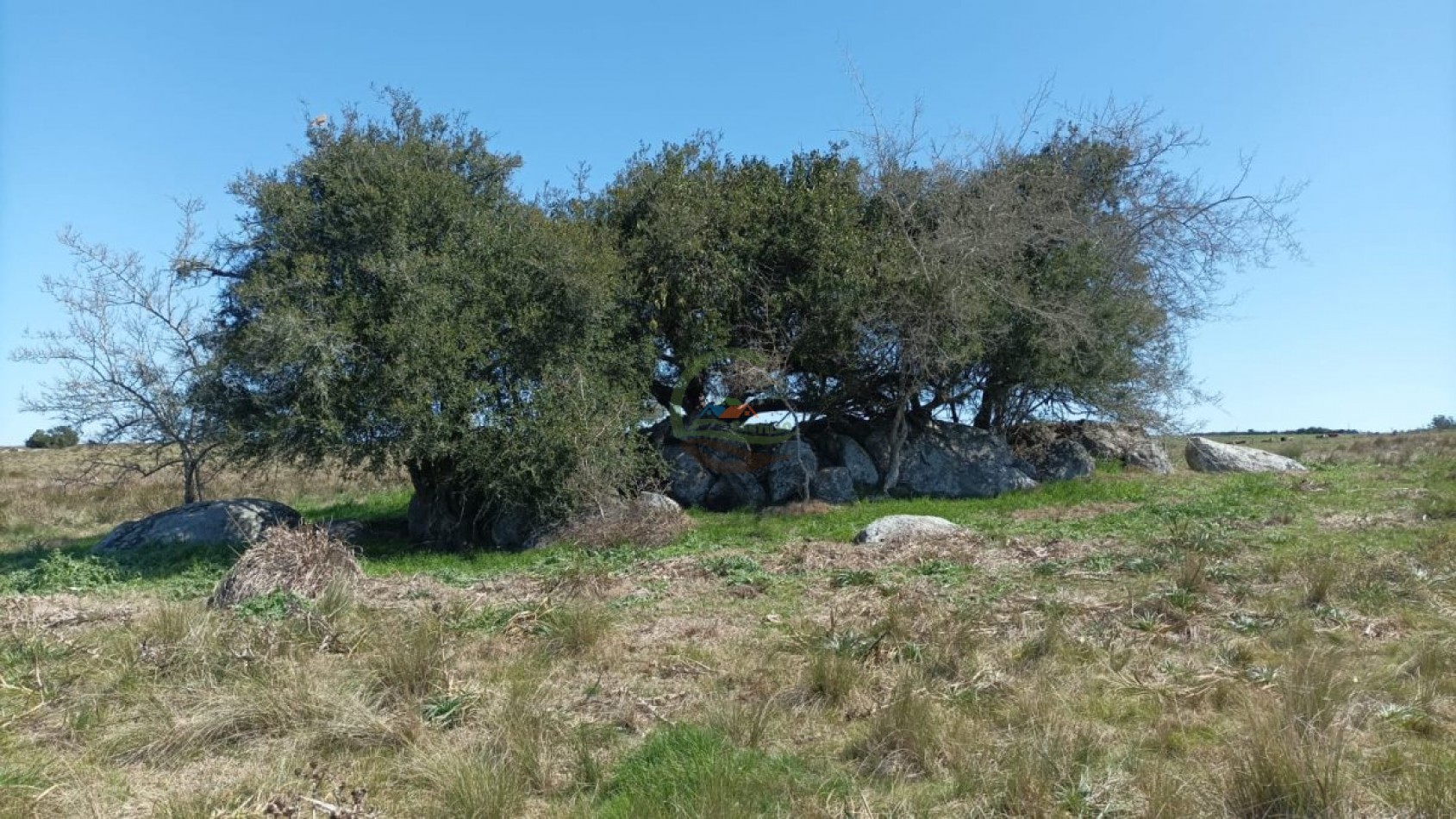 169 ha Mixtas - Maldonado - Uruguay