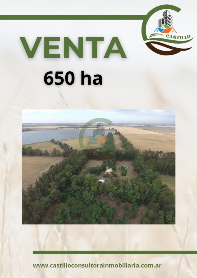 650 ha mixtas - san cayetano