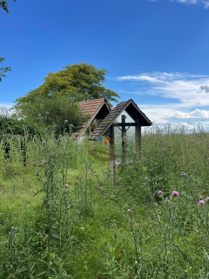 109 ha Feed Lot - Las Flores