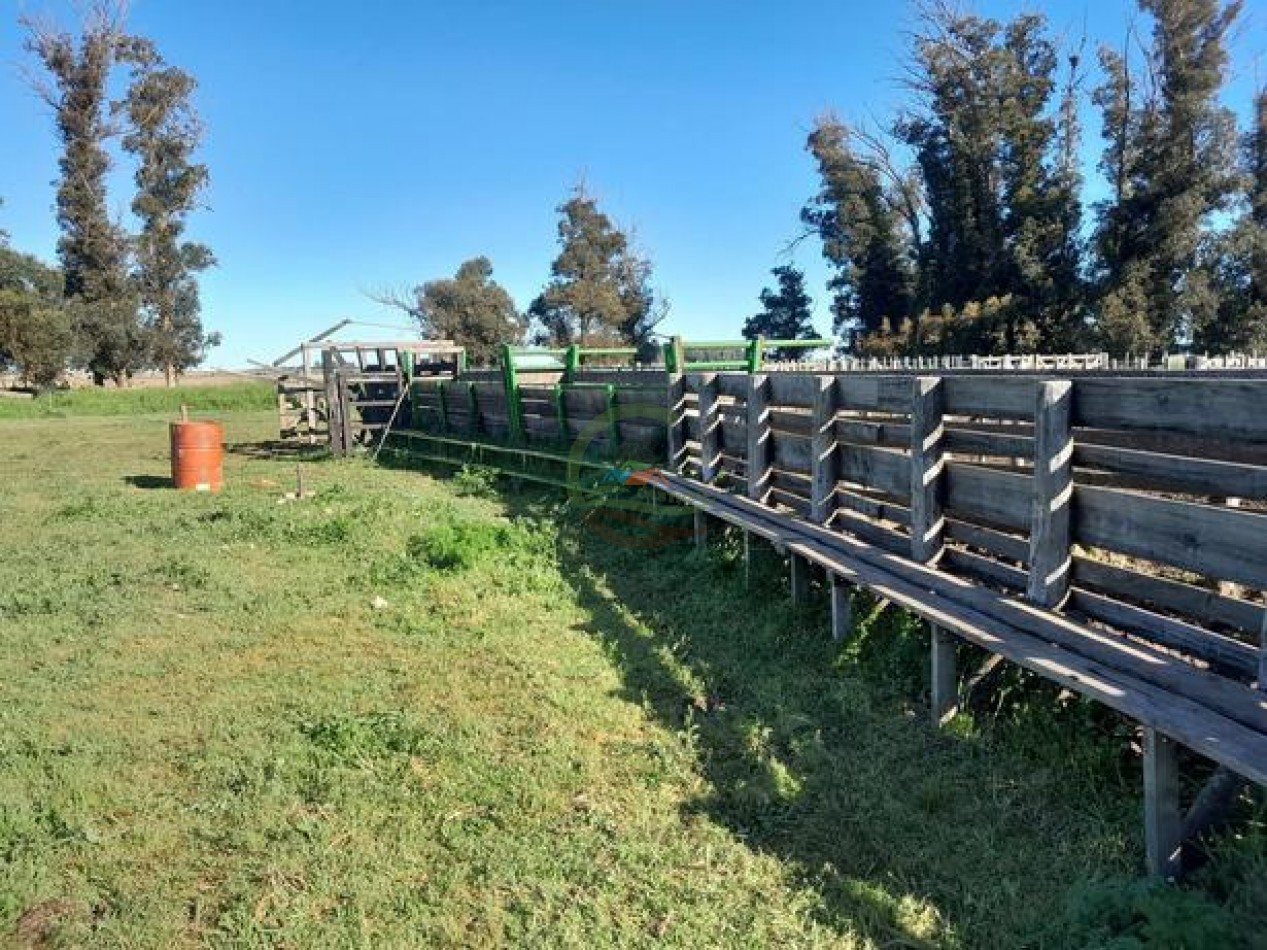 324 Ha Agricolas - San Cayetano