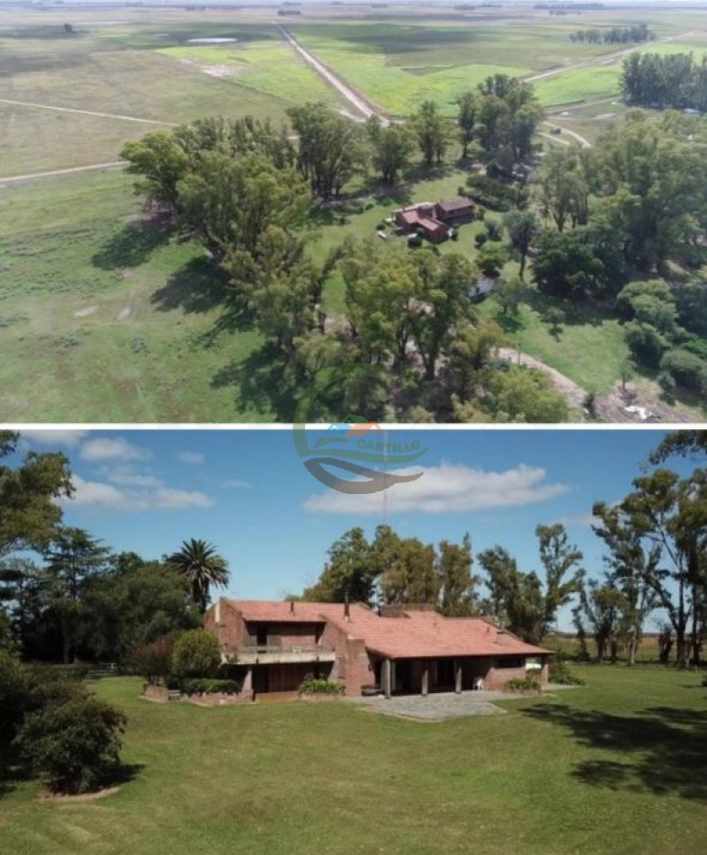 5382,89 Ha Mixtas - Tapalque