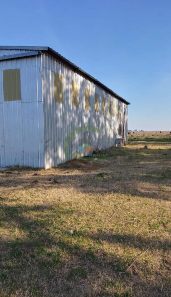200 ha MIxtas . Tapalque 