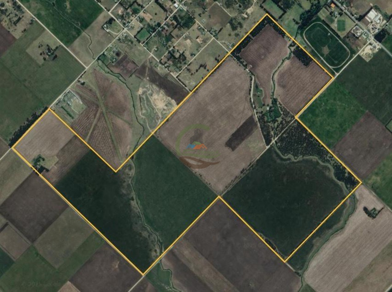 390 Ha Agricolas - Loberia
