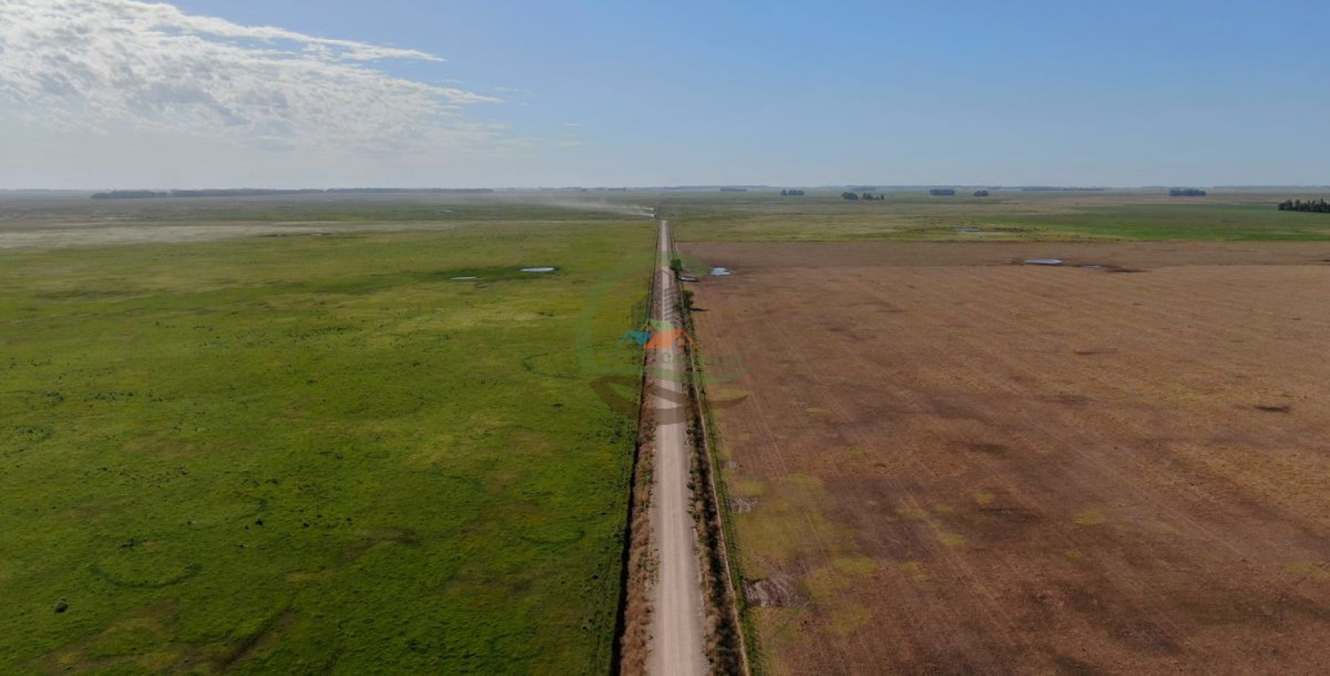 3977 ha Mixto - Olavarria