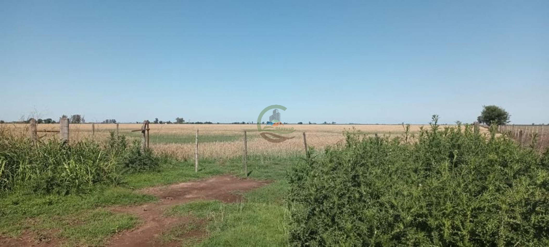 632 Ha Mixtas - Galvez - Santa Fe