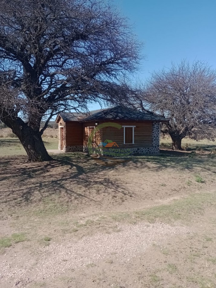 2500 ha Coto de caza - Quehue - La Pampa