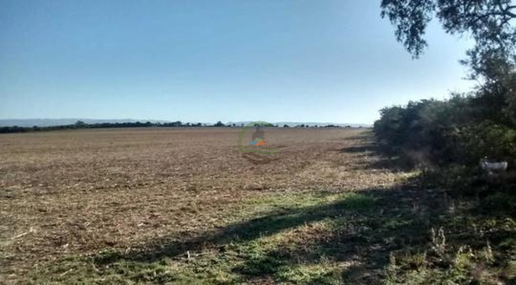 118 Ha Agricolas - Sarmiento - Totoral - Cordoba
