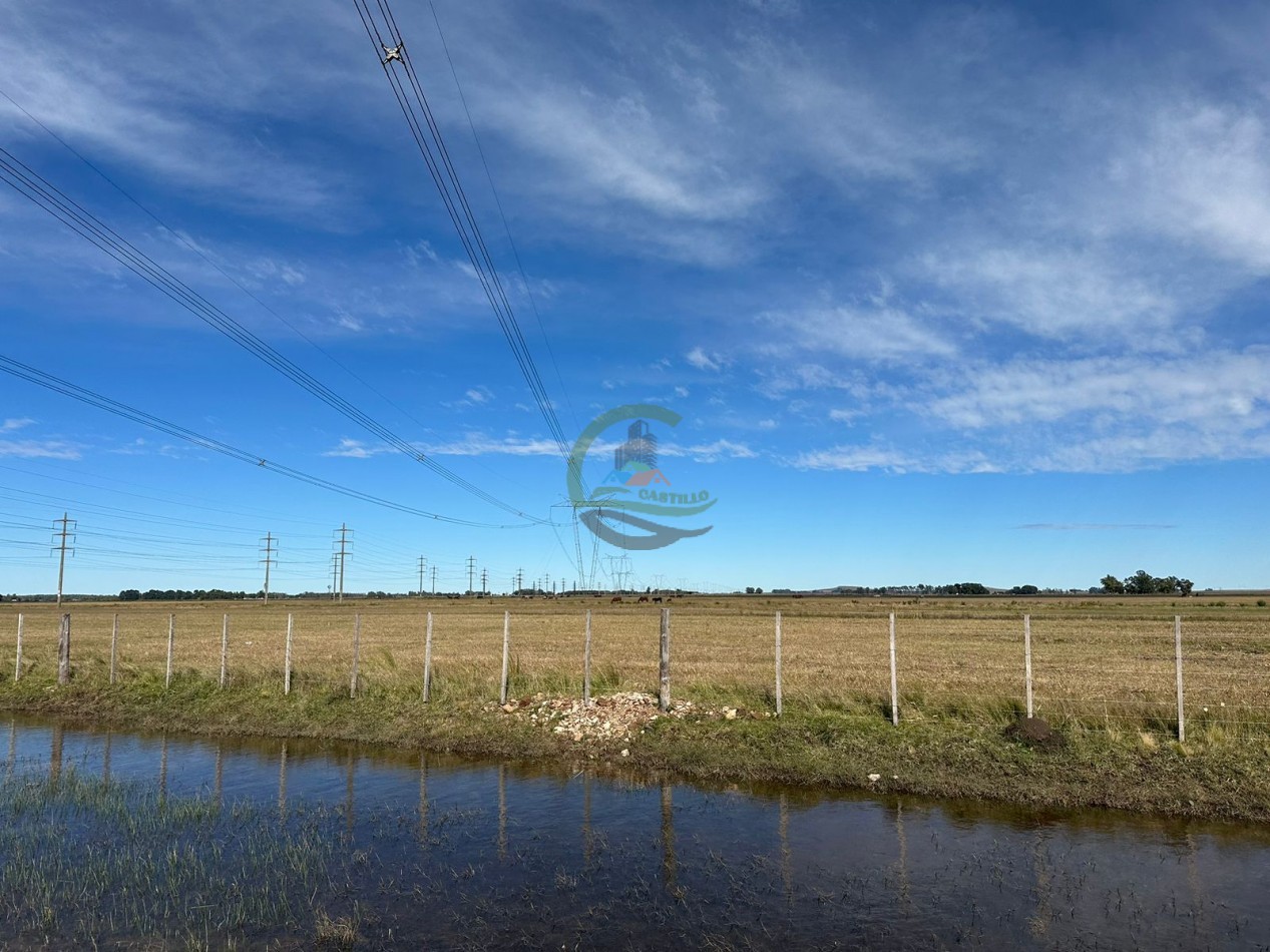 48 ha mixto - Olavarria