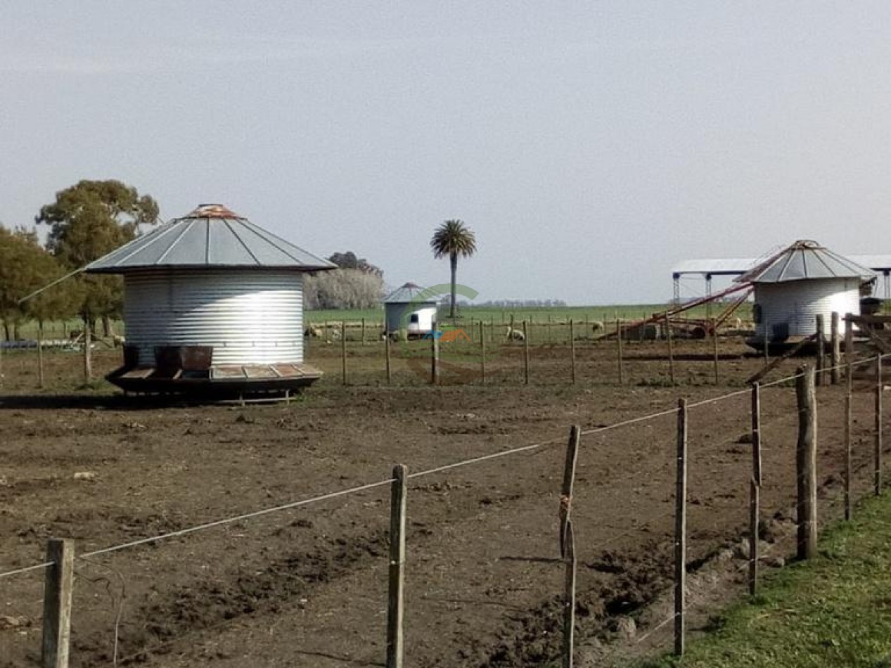 242 Ha - Mixto - Mechongue