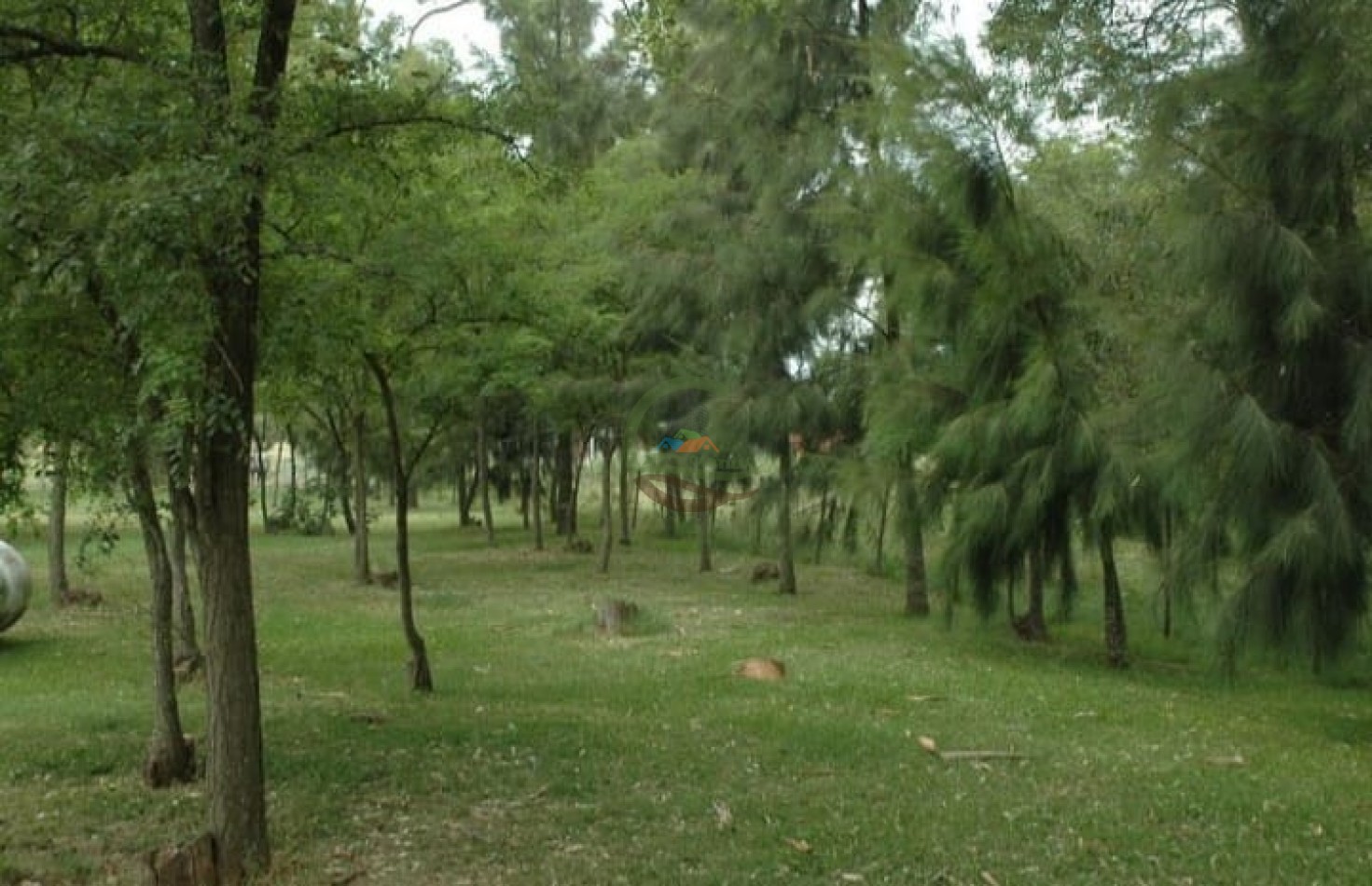 372 ha Mixtas - Las Flores